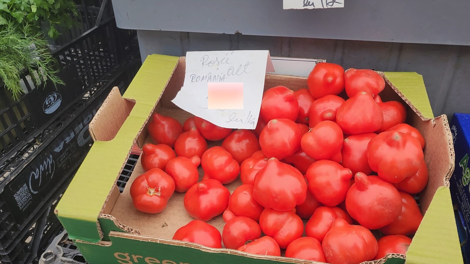 2025033114234535-instanewscluj