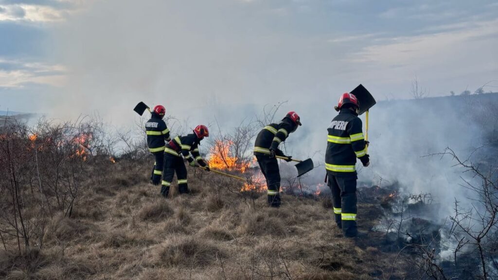 incendii de vegetatie instanewscluj-instanewscluj