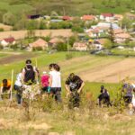 Acțiune de plantare copaci în comuna Bobâlna, Cluj