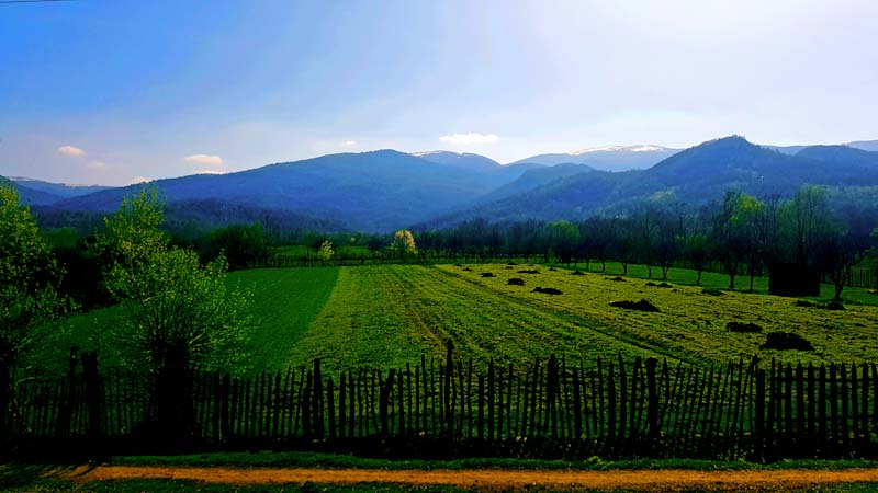 PSX 20250407 194011-instanewscluj