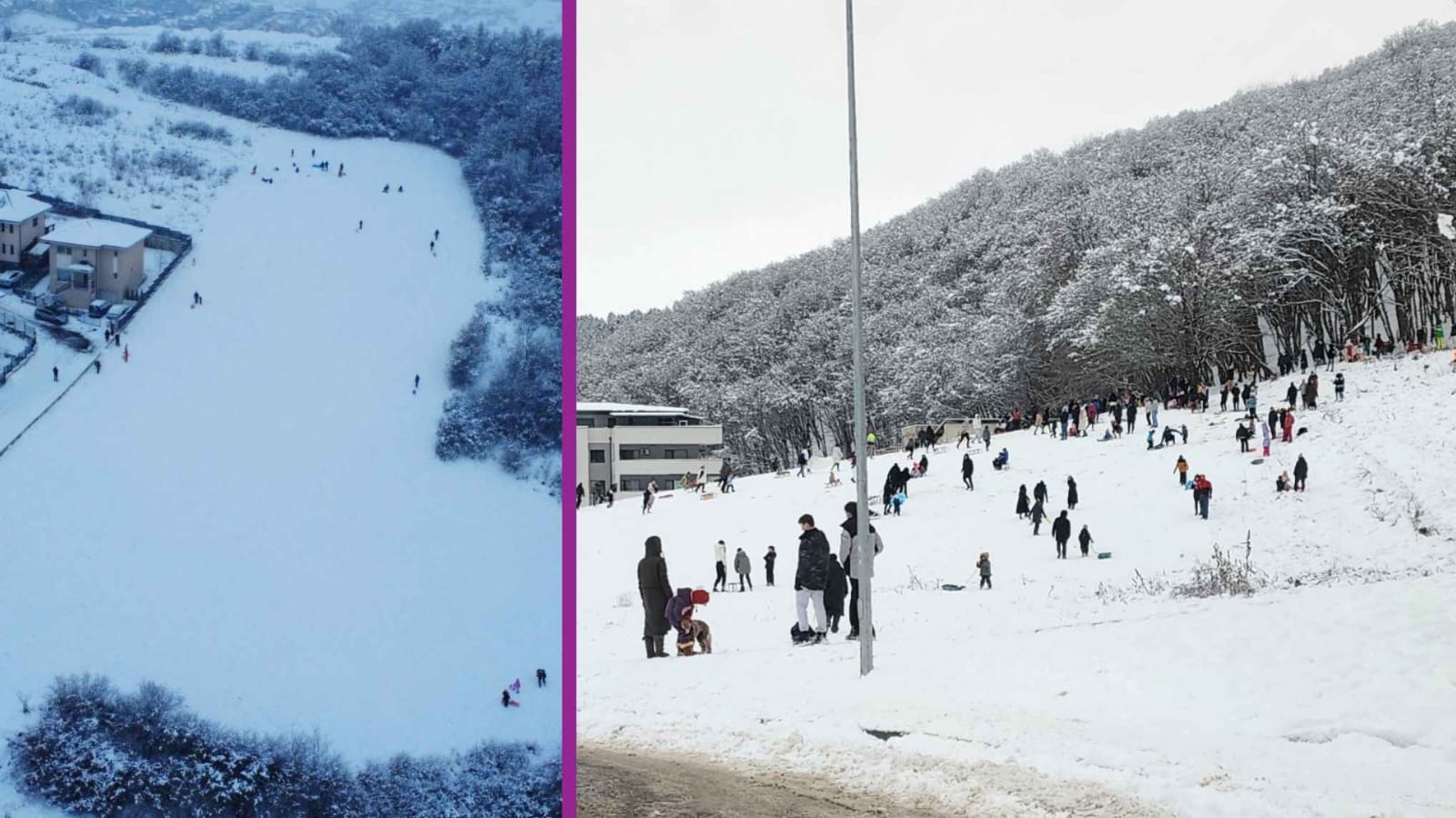 cu sania în cluj