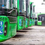 vinerea verde bucuresti instanewscluj-instanewscluj